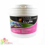 رنگ اکریلیک کارینا پلاس+ PLUS کارن دبه ۱۲کیلویی