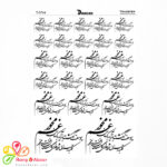 ترانسفر دانکار کد 0744